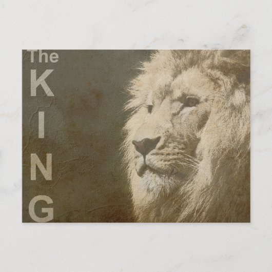 Trendy Lion Hoofd van de koning Modern Pop Art Sja Briefkaart (Voorkant)