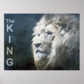 Trendy Lion Sjabloon Natuur Animal The King Foto Poster (Voorkant)