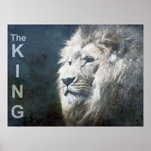 Trendy Lion Sjabloon Natuur Animal The King Foto Poster (Voorkant)