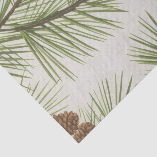 Trendy Merry Christmas Pine Cones and Branches Tissuepapier (Detail)
