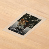 Trendy Modern Script & Arch 1 Photo Christmas Card Acryl Uitnodigingen (Laagn)