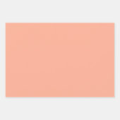 Trendy Moderne Effen Kleur Set Abrikoos Matte Gift Inpakpapier Vel (Voorkant 2)