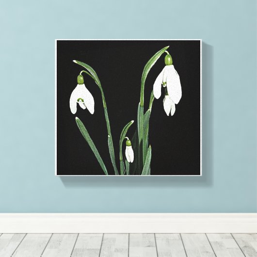 Trendy moderne minimalistische sneeuwklokbloem fin canvas afdruk (Insitu (Houten vloer))