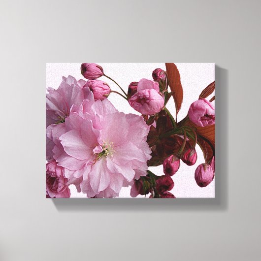 Trendy roze blush kersenbloesem bloemen modern canvas afdruk (Voorkant)