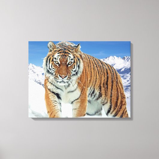 Trendy Tiger Snow Mountains Winter Natuur Canvas Afdruk (Voorkant)