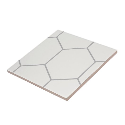 Trendy Traditional Classic Hexagon Pattern Tegeltje (Zijkant)