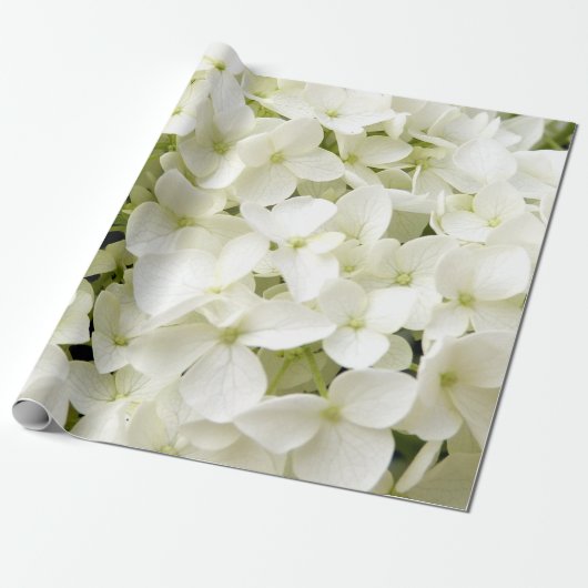 Trendy Witte Hydrangea Floral Cadeaupapier (Uitgerold)