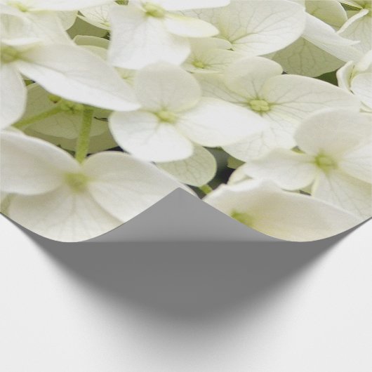 Trendy Witte Hydrangea Floral Cadeaupapier (Hoek)