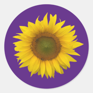Trendy Zonnebloem Leuke Bloemen Paarse Ronde Sticker