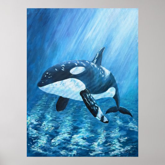 Trent Orca Moordwalvis Print Alle maten (Voorkant)