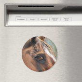 Tres Oogmagneet Magneet (Insitu (Vaatwasser))