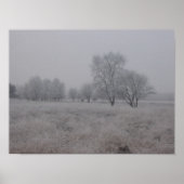 Tress in het veld in de winter poster (Voorkant)
