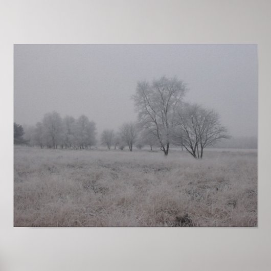 Tress in het veld in de winter poster (Voorkant)