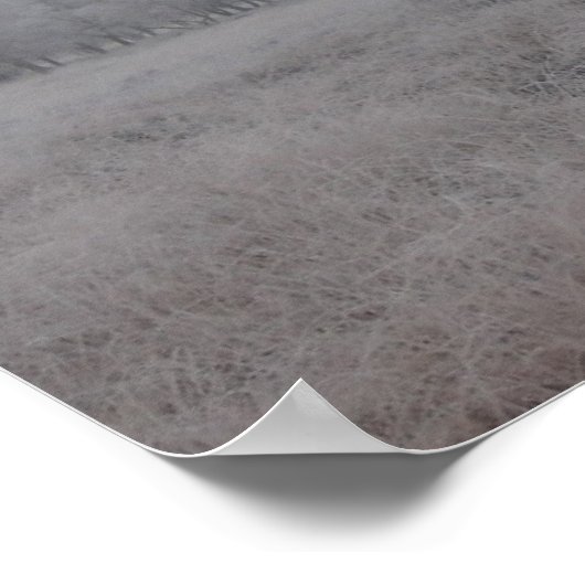 Tress in het veld in de winter poster (Hoek)