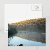 Trestle Pine Morning Briefkaart (Voorkant / Achterkant)