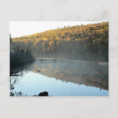 Trestle Pine Morning Briefkaart (Voorkant)