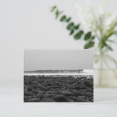 TRESTLS, SAN ONOFRE STATE BEACH, CA, VS BRIEFKAART (Staand voorkant)