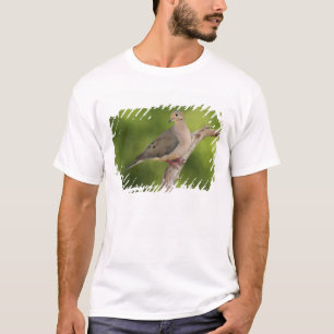 Treurdou, Zenaida macroura T-shirt