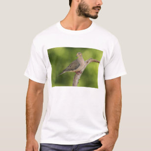 Treurdou, Zenaida macroura T-shirt