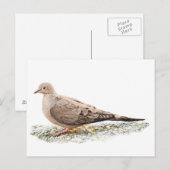 Treurdove Briefkaart (Voorkant / Achterkant)