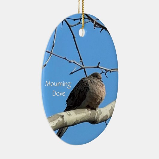 Treurduif in Ornament (Rechts)