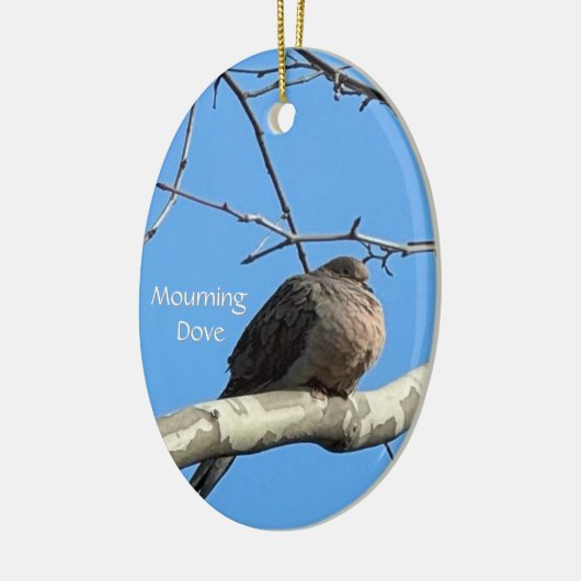 Treurduif in Ornament (Links)