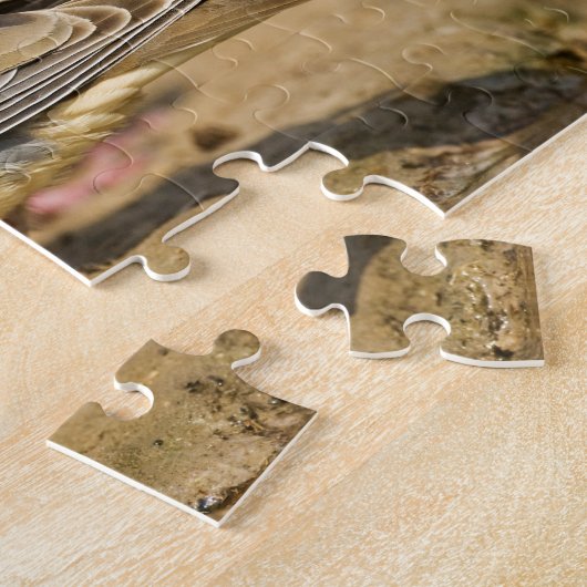 Treurduif Legpuzzel (Zijkant)