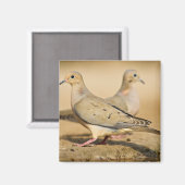 Treurduif Magneet (Voorkant / Achterkant)