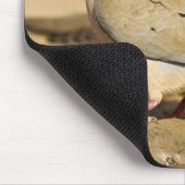 Treurduif Muismat (Hoek)