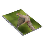 Treurduif, Zenaida macroura Notitieboek (Rechterzijde)