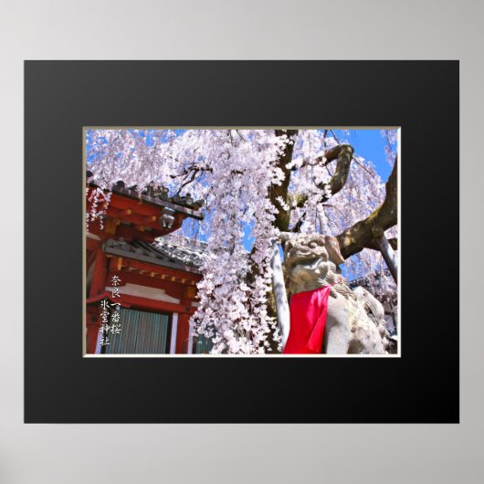 Treurende kersenboom ("Nara Ichiban-Zakura") Poster (Voorkant)
