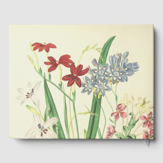 Treurig, Conservatief, Herinneringen, gastenboek (Achterkant)