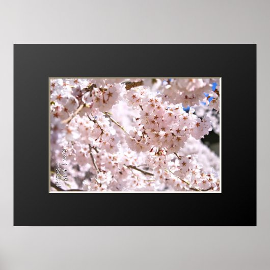 Treurkersboom ("Nara Ichiban-Zakura") Poster (Voorkant)