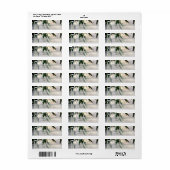 Treurwilgenboom & Metselwerk Pot Lichten Uitnodigi Etiket (Full Sheet)