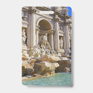 Trevi Badge