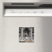 Trevi-fontein, gebouwd 1732-62 magneet (Insitu (Vaatwasser))
