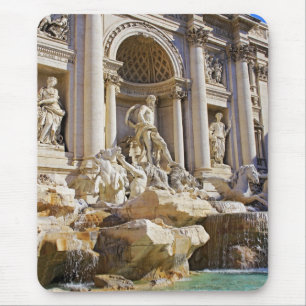 Trevi Fontein Rome Fotografie Muismat