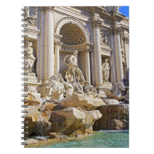 Trevi Fontein Rome Fotografie Notitieboek