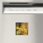 Trevi Fontein Rome koelkastmagneet Magneet (Insitu (Vaatwasser))