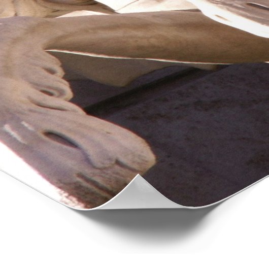 Trevi Fountain, Italië Poster (Hoek)