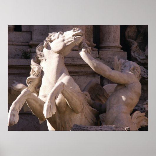 Trevi Fountain, Italië Poster (Voorkant)