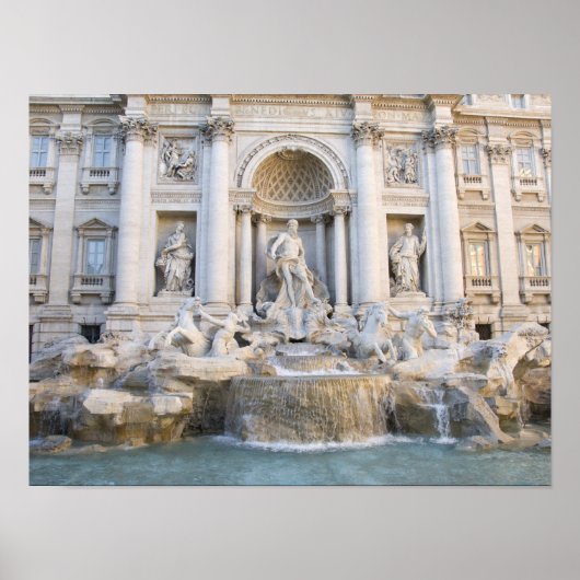 Trevi Fountain Poster (Voorkant)