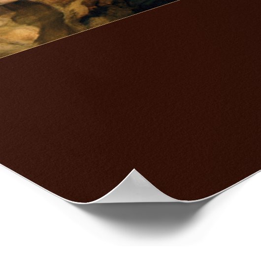 Trevi Fountain Poster (Hoek)