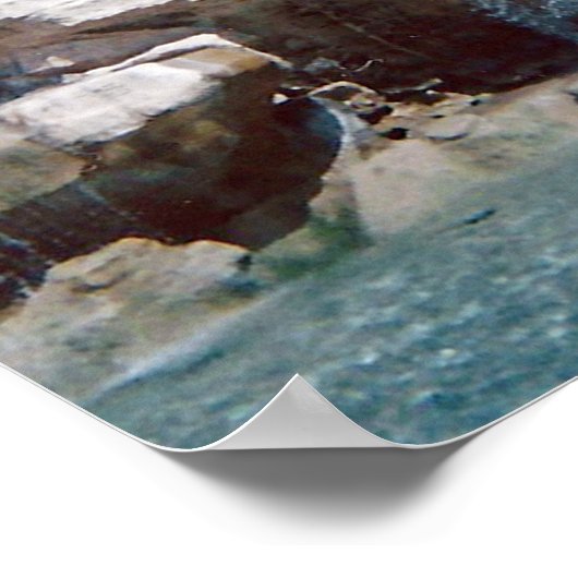 Trevi Fountain Poster (Hoek)