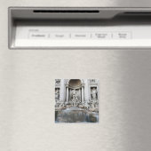 Trevi Fountain Rome Magneet (Insitu (Vaatwasser))
