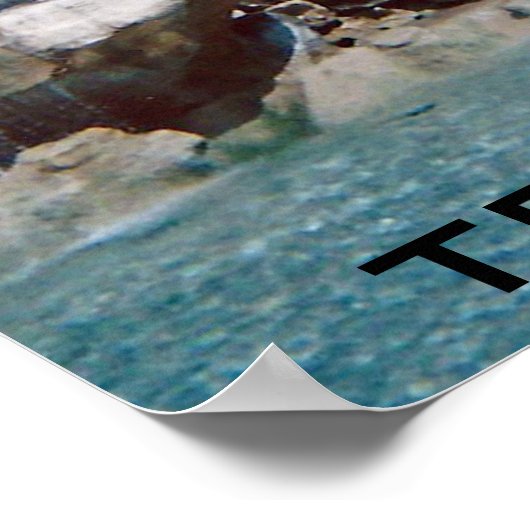 Trevi Fountain Rome Poster (Hoek)