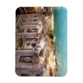 Trevi gif 's nachts - Rome, Italië Magneet (Verticaal)