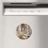 Trevi Magneet (Insitu (Vaatwasser))