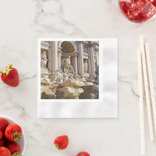 Trevi Servet (Insitu)