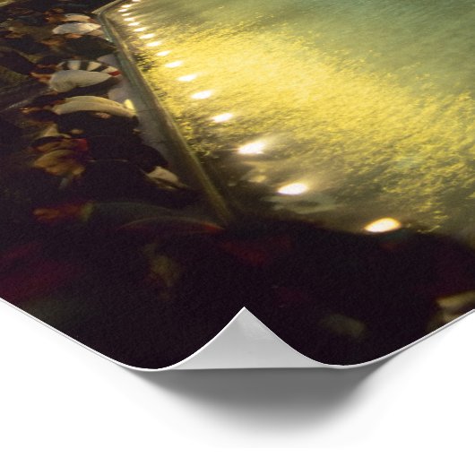 Trevi Vondgif 's nachts, Rome, Lazio, Italië Poster (Hoek)